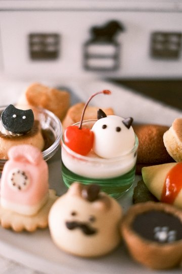 【2月】レトロ喫茶にゃんこアフタヌーンティー【空席申込】の画像