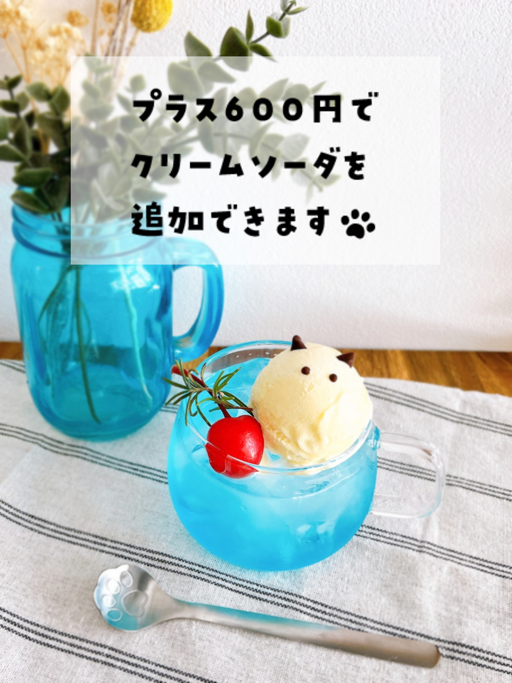 【空席申込】【6月】水族館のにゃんこアフタヌーンティーの画像