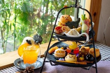 【9月】にゃんこアフタヌーンティー(喫茶時々、雨さんコラボ＆さがおうじさんコラボ)＆カレーの日「抽選」申込の画像