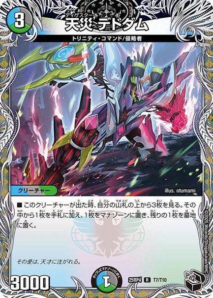 天災 デドダム(DM25RP4 T7/T10)の画像