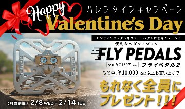 Fly Pedals II（フライペダル2）画像
