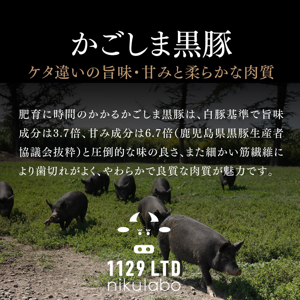 【送料込み】鹿児島黒毛和牛×かごしま黒豚 福袋 3kg（Lサイズ）画像
