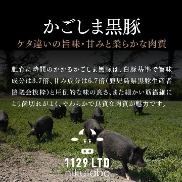 【送料込み】鹿児島黒毛和牛×かごしま黒豚 福袋 900g（Sサイズ）画像