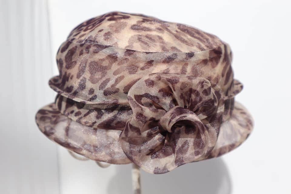 See-through-Leopardの画像