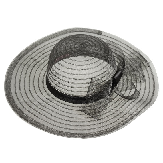 帽子になった風の画像