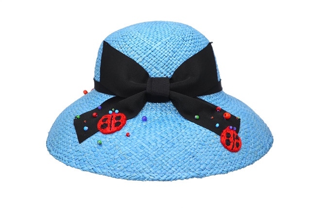 テントウムシノサンバの画像