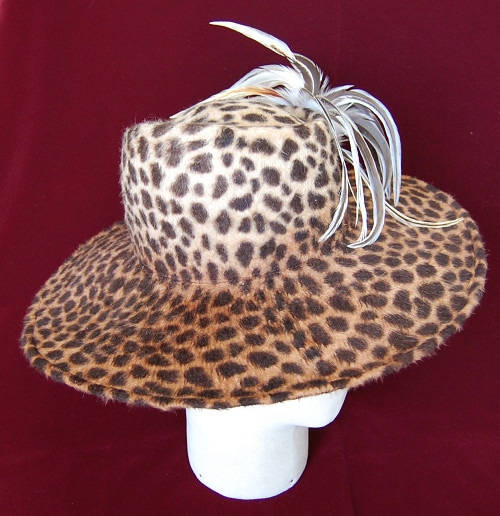 Leopard Queenの画像