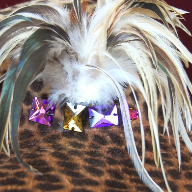 Leopard Queenの画像
