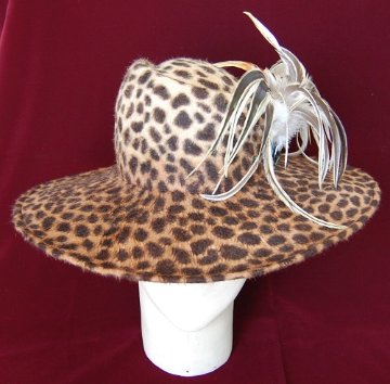 Leopard Queenの画像