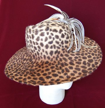 Leopard Queenの画像