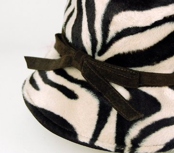 Pretty Zebraの画像