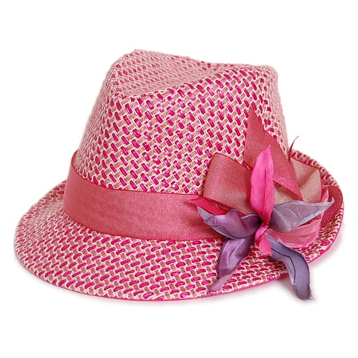 Lady's Veilの画像