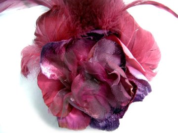 Soul Flowerの画像