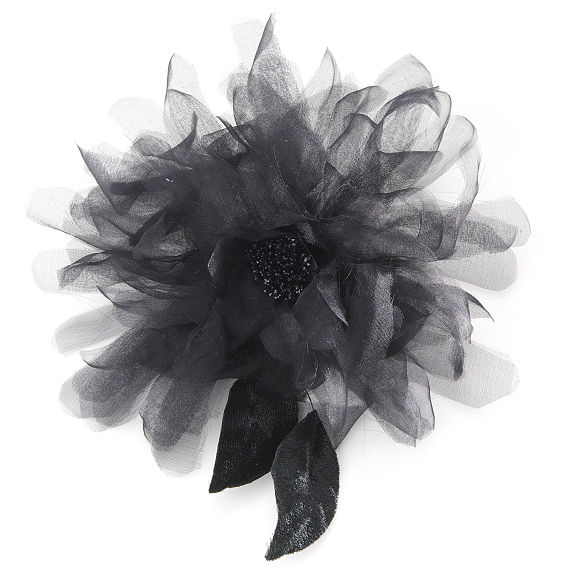 Kiku / Blackの画像