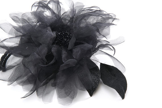 Kiku / Blackの画像