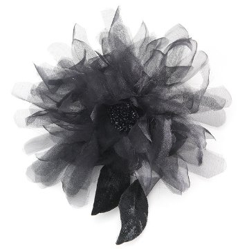 Kiku / Blackの画像
