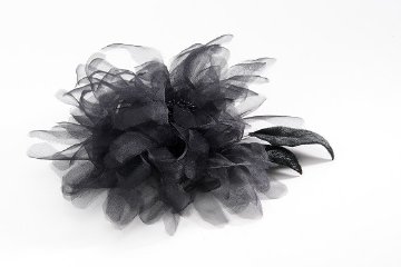 Kiku / Blackの画像