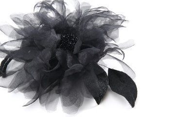 Kiku / Blackの画像