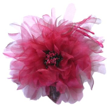 Kiku / Purplish redの画像