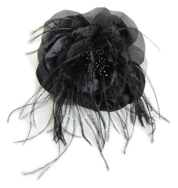 Black Edenの画像