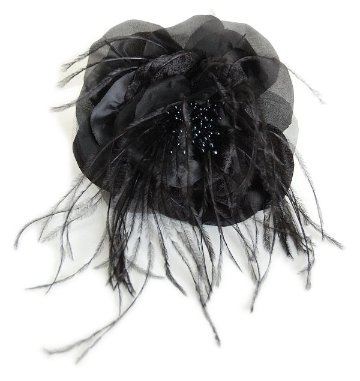 Black Edenの画像