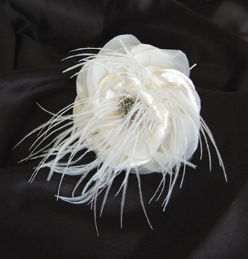 White Edenの画像