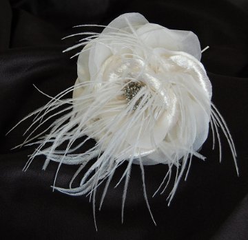 White Edenの画像