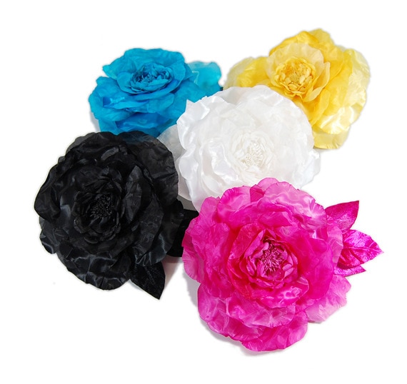 Angel's Rose 20の画像