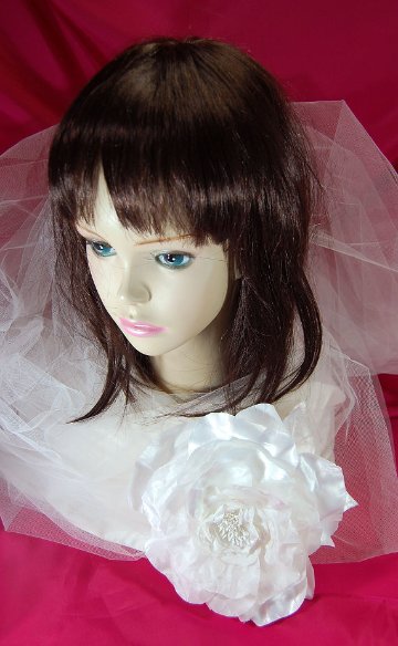 Angel's Rose 20の画像