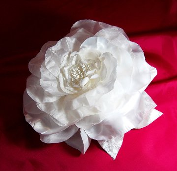 Angel's Rose 20の画像