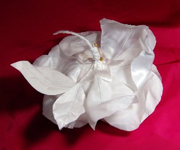 Angel's Rose 20の画像