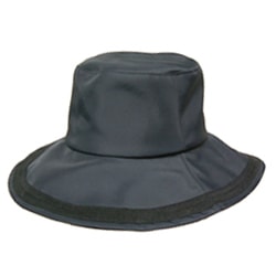 雨にも負けずの画像