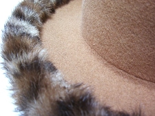 Animal Ringの画像