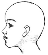 帽子専門用語集｜クラウン・ブリム・帽体・木型などパーツ名称を解説｜帽子専門店WAGANSE