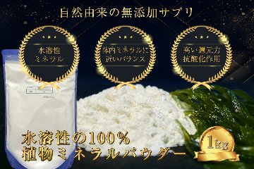 水溶性100％植物ミネラルパウダー 1kg｜高濃度・大容量タイプ｜中山栄基先生開発の画像