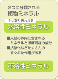 水溶性ミネラルについて