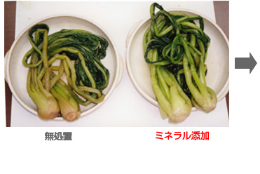 漬物工場の実験例