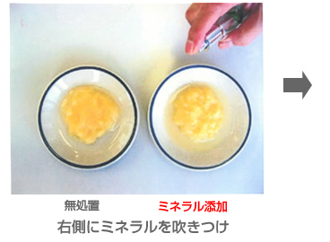 りんごの酸化実験