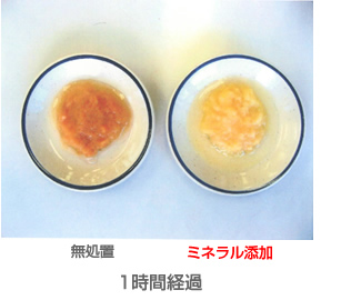 りんごの酸化実験