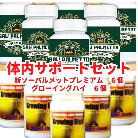 体内サポートケアセットの画像