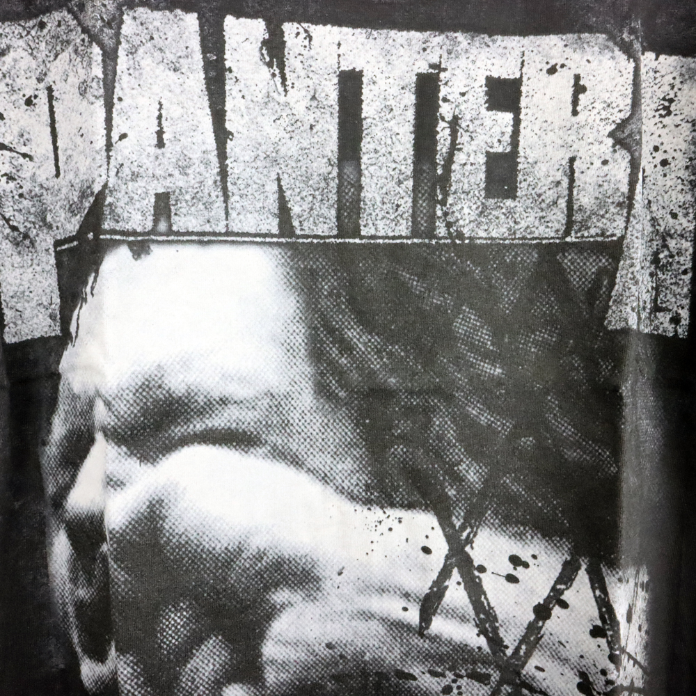 パンテラ VALGAR DISPLAY OF POWER Tシャツの画像