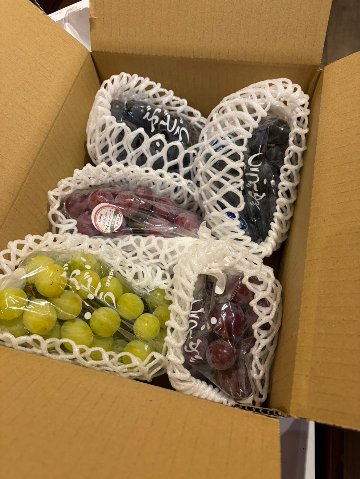 【ご家庭用】新鮮ぶどう詰め合わせ／3~4房の画像