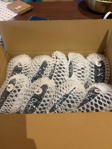【ご家庭用】新鮮ぶどう詰め合わせ／6~9房の画像