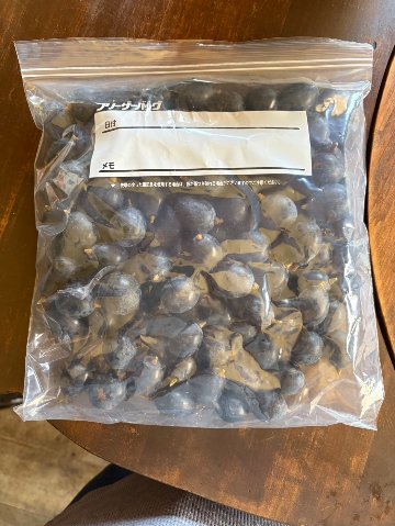 新鮮ぶどう粒売りナガノパープル1㎏の画像