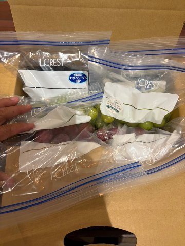 新鮮粒ぶどう詰め合わせ1ｋｇ（ナガノパープル・シャインマスカット・クインニーナ）の画像