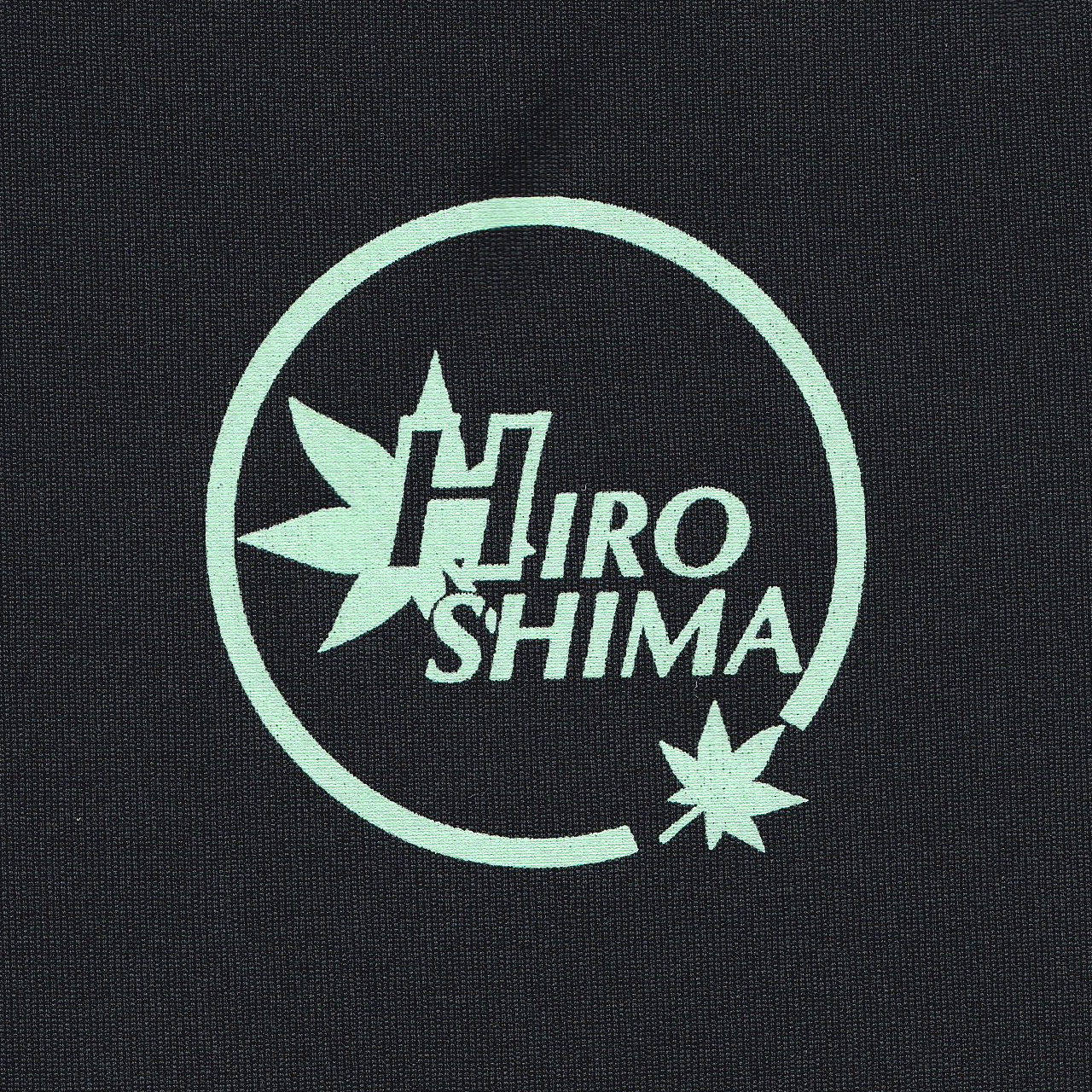 Ｔシャツ  ブラック×ミントブルーの画像