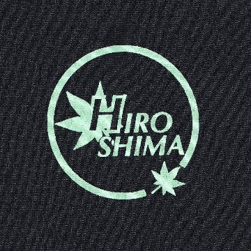 Ｔシャツ  ブラック×ミントブルーの画像