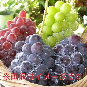 《送料無料》山梨県笛吹市産　旬の味ぶどう詰め合わせ　おまかせBセット2K（4〜5房入り）の画像