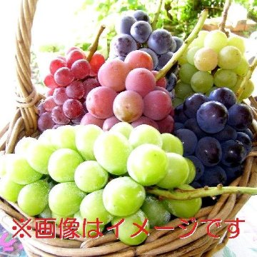 《送料無料》山梨県笛吹市産　旬の特選ぶどう詰め合わせ　おまかせSセット2K（3〜5房入り）の画像