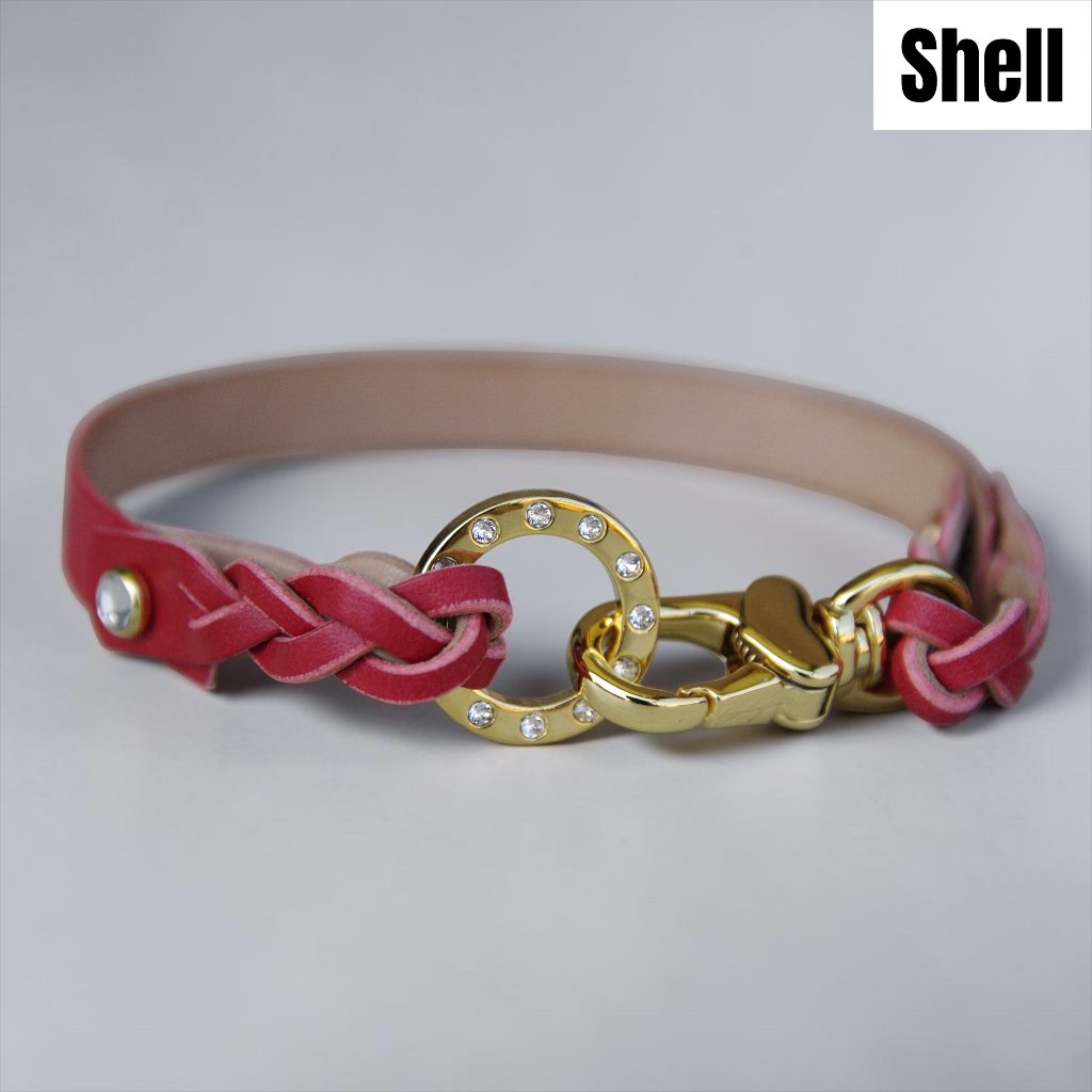 【全犬種】Shell：キラキラセット の画像